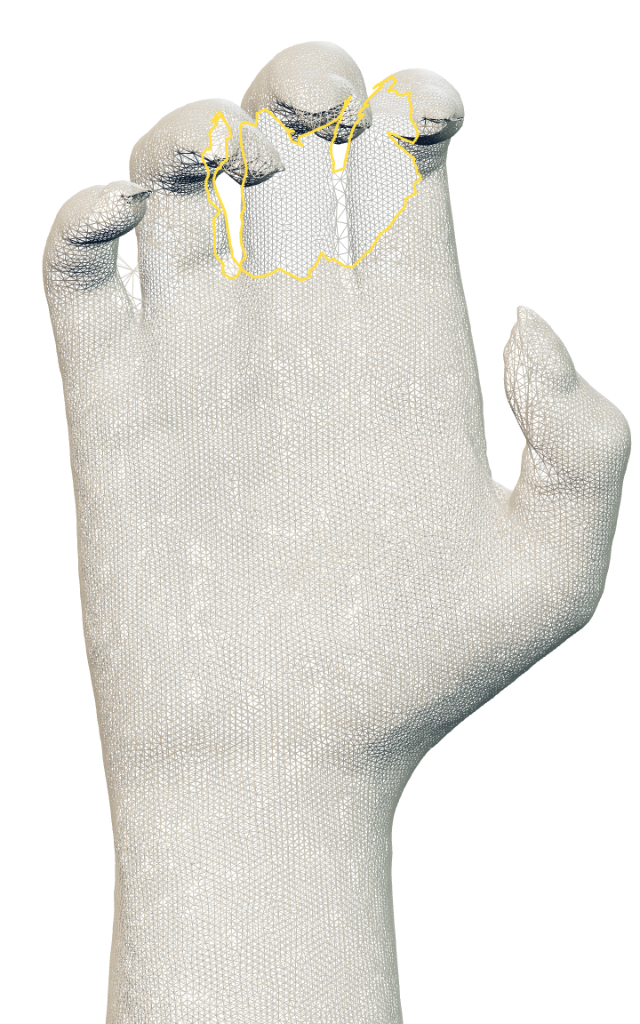 Original s0038 hand scan with open boundaries around the fingers outlined in gold.